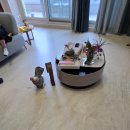 별빛하우스 이미지