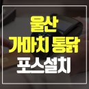 울산통닭