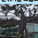 수원-0296 네이버블로그