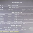 중국어(야간) | 서울 창경궁 야간관람 해설투어 후기 아이와 가볼만한 곳