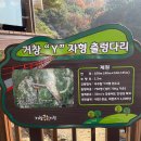 거창 항노화 힐링랜드 자연휴양림 이미지