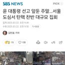 윤 대통령 선고 앞둔 주말…서울 도심서 탄핵 찬반 대규모 집회 이미지