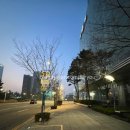 6777 | 송도 공항버스 6777번 타는 방법, 시간표, 가격 후기