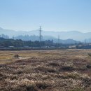 대명자원 이미지