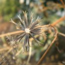 무등중학교 이미지