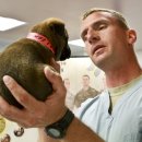 가정 펫 살롱 이미지