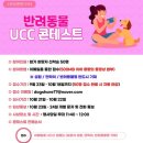 동탄 수질복원센터 축구장 이미지