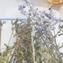 강빛꽃두레협동조합 이미지