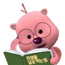 샐러드포미