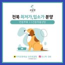 로얄펫 강아지분양 고양이분양 전주점 | 전주강아지분양 로얄펫, 가족으로 맞이하는 반려동물 분양 서비스!