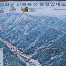 대관령양푼이동태찌개찜 이미지
