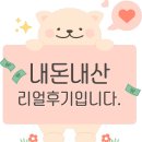 꿈꾸는황소 이미지