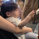 별따오기 | 주렁주렁 영등포점 실내 동물원 14개월 아기와 방문한 후기｜입장료, 소요시간, 체험