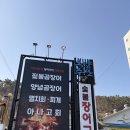 오양짚불곰장어 | [곰장어 맛집] 부산 기장 대변항, 오양수산장어구이집 양념꼼장어