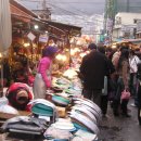 자갈치시장 이미지