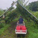 서연농장 이미지