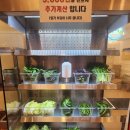 일등정육식당 이미지