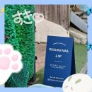 수수수 뷰티