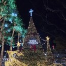 옥산로 | 불빛향연, 북구청광장과 옥산로, 호암로에빛거리를 걷다