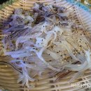 해성수산 티스토리