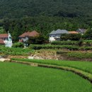 용소리마을회관 이미지