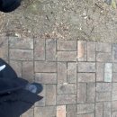 신화불족발불보쌈 이미지