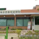 반딧불척추연동치유센터 Daum카페