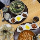 삼도칼국수 | 포항 칼국수 맛집 뜨끈한 국물 생각날땐 칼국수 일번지