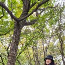 진부목장 이미지