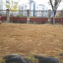 대구금포초등학교 이미지