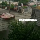 바름약국 이미지