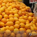 오렌지할인마트 이미지