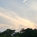 금오산로22길-1 이미지