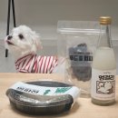 푸드포퍼피 | [화성 동탄] 푸드포퍼피, 동탄 강아지수제간식 [예약주문/배달주문 가능]