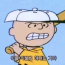 (주)강남셀바이오뱅크 | 🇨🇦 캐나다 워킹홀리데이 준비기(feat. CIC, 캐나다 eSIM, 보험)