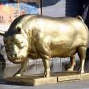 복주는돼지 이미지