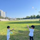 안양체육공원 인라인스케이트장