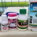 에이아그로 이미지