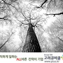 첨성대 화장실 이미지