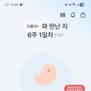 엔젤산부인과의원 이미지