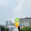 미루 스튜디오 웨딩촬영 후기 (웨스턴베니비스 신도림 연계)