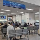 대한민국결혼주