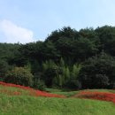 도선국사마을 이미지