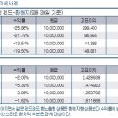 국외 펀드 환차익 과세에 울상 이미지