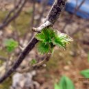 와우농장 이미지