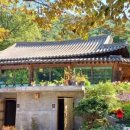 흙과 나무 이미지