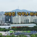 사랑은 아무나 하나/태진아/ 한명수 커버연주/ 이미지