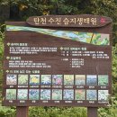 길愛 예술- 자전거 | 자전거라이딩 길에서 만난 2025년 에어쇼와 가을 코스모스 후기