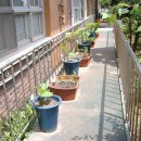 서울성서초등학교 이미지