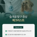 광교호수 동물병원 이미지